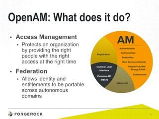 what does openam do